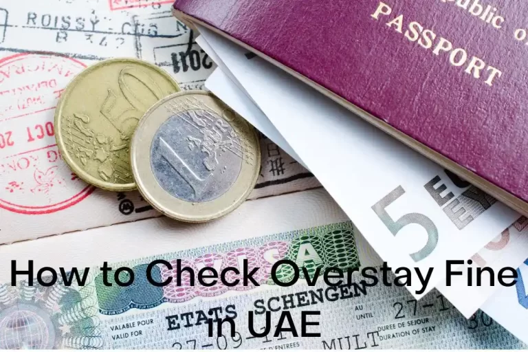 How to Check Overstay Fine in UAE
