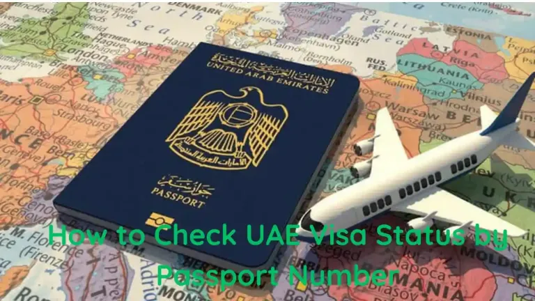 Check Uae Visa Status By Passport Number Application Status And Validity 8902