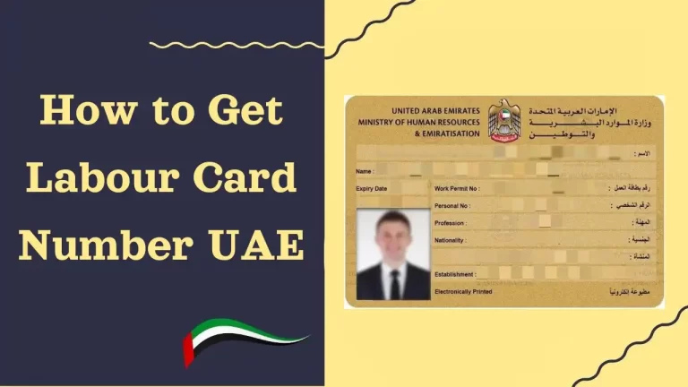 How to Get Labour Card Number UAE
